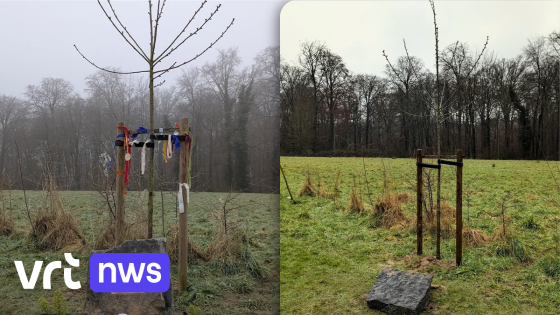 Vandalen vernielen herdenkingsplaats Natacha de Crombrugghe in Linkebeek