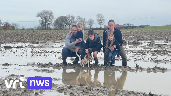 Landbouwer uit Watou krijgt geen schadevergoeding voor de overstromingen van november 2023