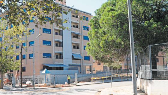 Dos senglars dormint sota un arbre obliguen a tallar el trànsit a Sabadell