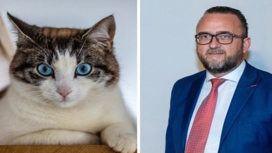 In twee maanden tijd 25 katten vermist of dood teruggevonden in kleine gemeente, politie voert onderzoek: “Wees alert” (Kluisbergen)