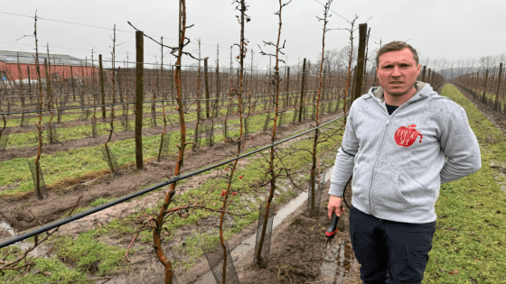 Appelteler Oud-Turnhout vreest nog meer regen: “Vorig jaar al 2000 bomen kapot”