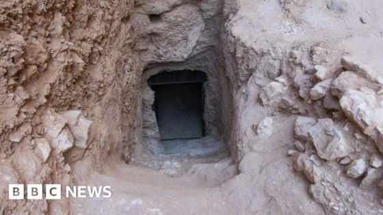 First pharaoh's tomb found in Egypt since Tutankhamun's