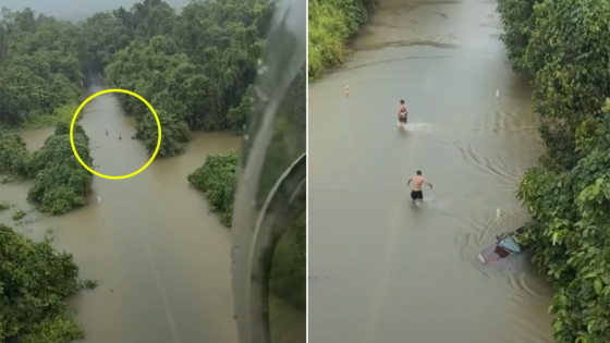 Pair spotted in alarming act on flooded road as Aussies urged to leave: 'Absolutely critical'