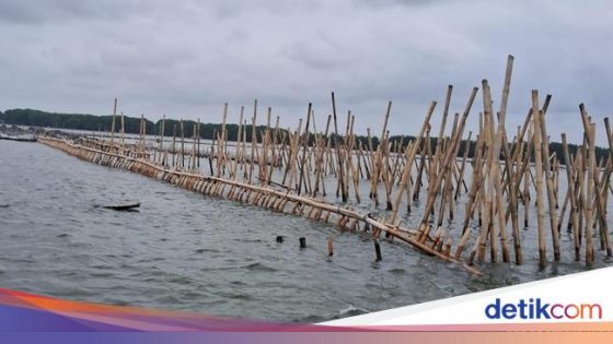 Terima Laporan Dugaan Pidana Pagar Laut Bekasi, Bareskrim Buka Penyelidikan