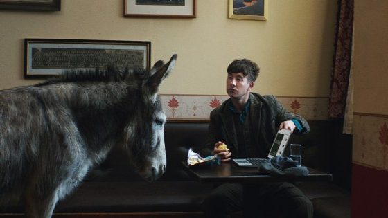 Barry Keoghan Helps a Donkey Build a Website for Squarespace