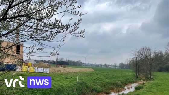 Stad Beringen weigert bouwproject van 163 woningen in Broekhoven: watergevoelig gebied en geen mobiliteitsplan