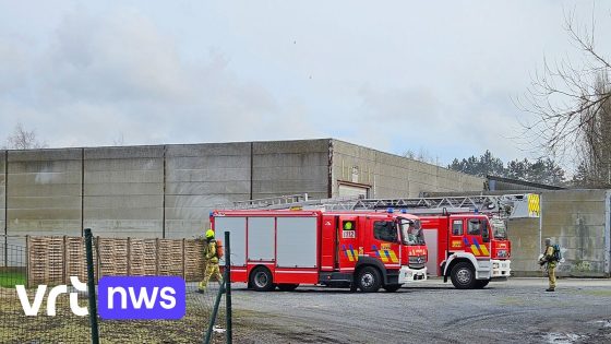 Brand in leegstaande fabrieksgebouwen in Waregem blijkt niet aangestoken