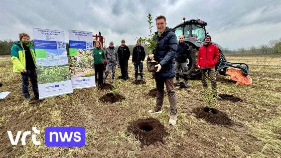 Brugge start met "klimaatrobuust bos": 10 hectare innovatieve beplanting tegen hitte en droogte