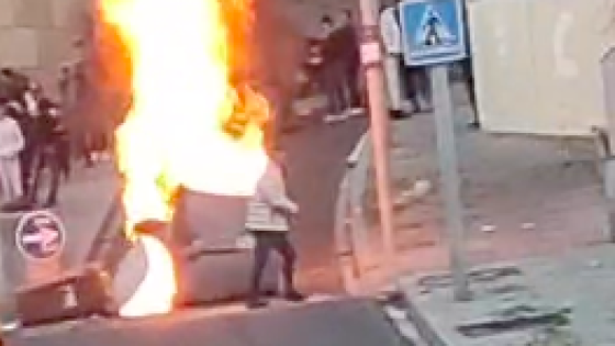 Batalla campal al Barri Antic de Lleida per un gos perillós sense lligar