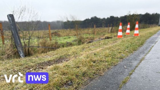 Moeder uit Oostende verdacht van poging tot moord op dochters na auto-ongeluk in De Haan