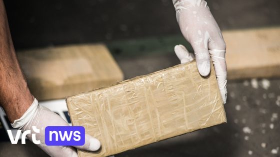 8 leden van drugsbende in beroep opnieuw veroordeeld tot 17 jaar cel voor voor ontvoering en foltering cocaïnedief