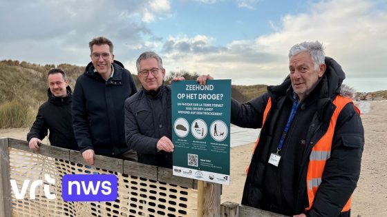 Honden voortaan ook in de zomer welkom op het strand van Zeebrugge: "Op kalme tijdstippen"