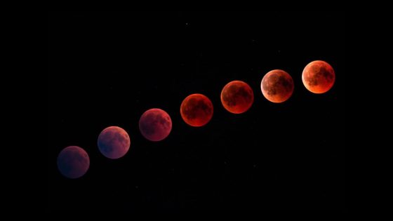 stages of the total lunar eclipse show the moon turn a progressively red colour.