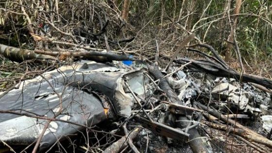 Avião ficou destruído após a queda