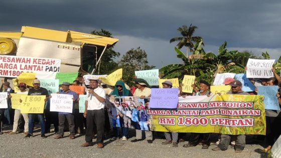 Pesawah tuntutan harga lantai padi RM1,800 satu tan