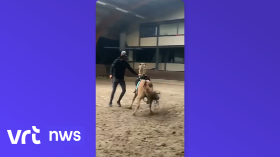 Paardrijleraar en voormalige uitbaatster van Breughelhoeve in Peer beboet voor verwaarlozing en mishandeling