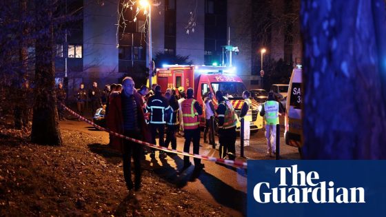 Grenade thrown into Grenoble bar injures 12, say French authorities | France