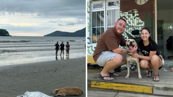 Cachorro que ficou ao lado do corpo do dono morto em Balneário Camboriú ganha novo lar