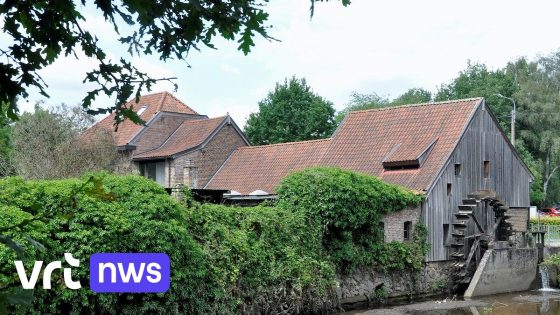 Historische Slagmolen in Genk krijgt nieuw leven: "Ideale plek om te ontspannen na actieve dag in de natuur"