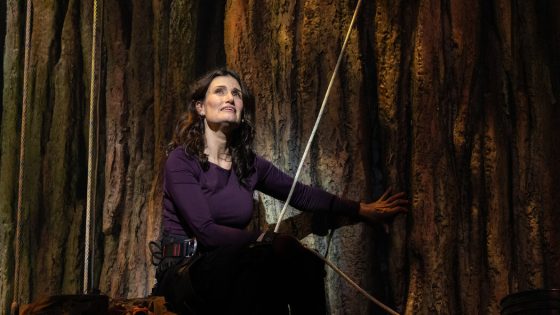 Review: Idina Menzel Climbs to New Broadway Heights in ‘Redwood’