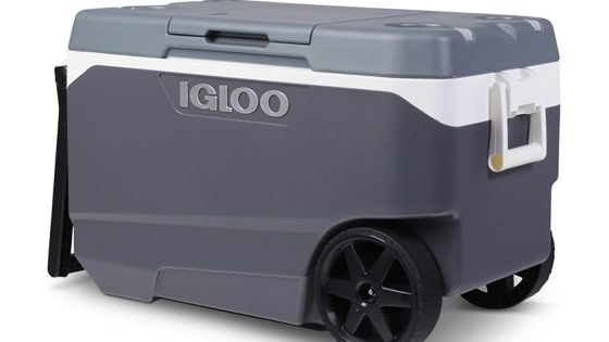 Igloo recalls over a million coolers after handle hazard causes fingertip amputations : NPR