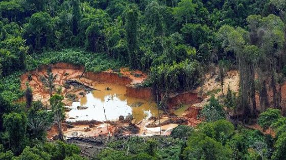 Áreas de garimpo ilegal na Terra Indígena Yanomami vistas em sobrevoo ao longo do rio Mucajaí em Roraima