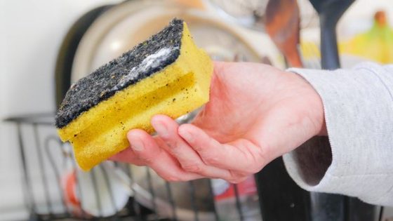 Your kitchen sponge teems with bacteria – should you use a brush instead?