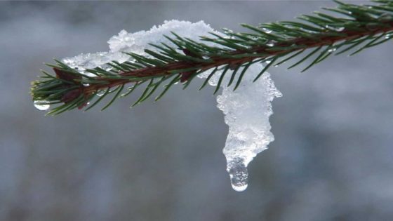 KMI heeft verrassend nieuws: "Smeltende sneeuw, of eventueel sneeuw"