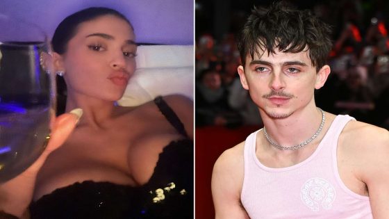 Kylie Jenner Wears Sparkly, Slinky Dress Alongside Timothée Chalamet in Pink in Berlin