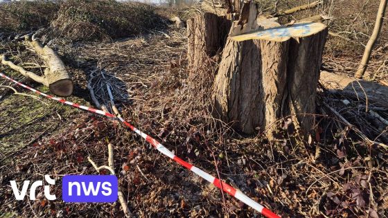 Buurtbewoners stelplaats Wondelgem naar rechter tegen De Lijn: "Nieuwe werken moeten stoppen"