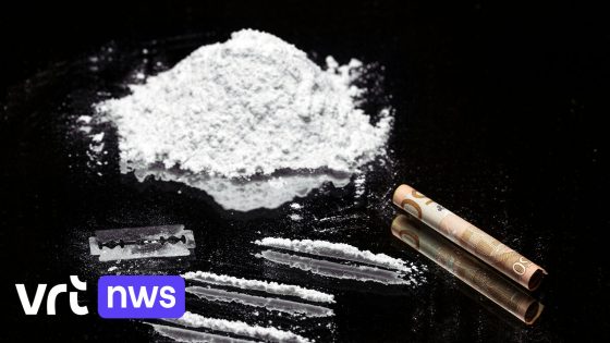 366 kilogram cocaïne gevonden bij bedrijf in Beerse: 3 Nederlandse mannen aangehouden