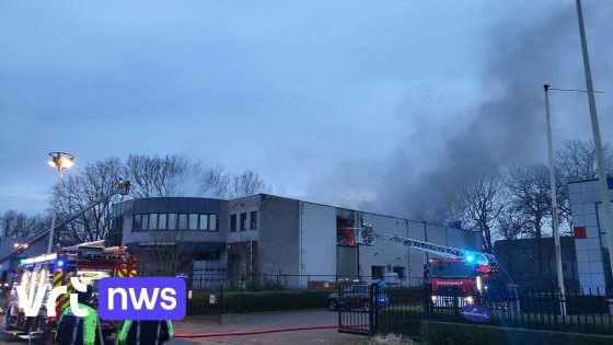 Grote brand in vleesverwerkend bedrijf in Schoten: rook verspreidt zich richting centrum