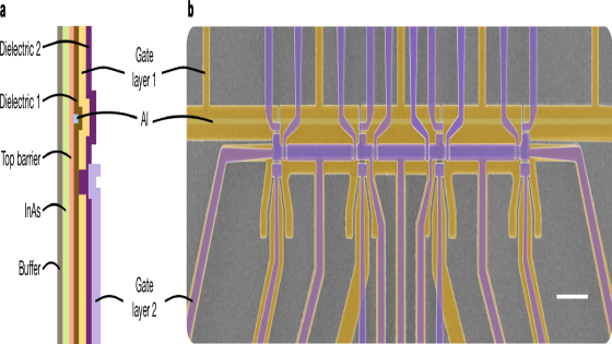 Microsoft (Again) Claims Topological Quantum Computing With Majorana Zero Mode Anyons