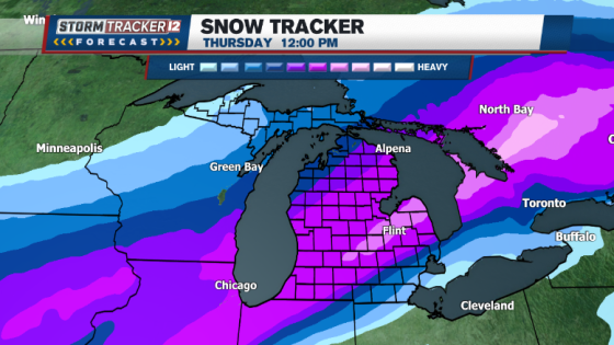 Winter's first big snowfall possible in Mid-Michigan this week | Weather