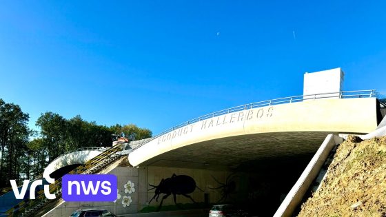 Nieuw ecoduct aan Hallerbos geopend: "Niet alleen dieren, maar ook wandelaars kunnen Brusselse Ring oversteken"