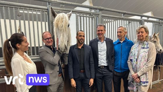 Stichting opgericht voor paardeneigenaars in geldnood: "Vermijden dat paarden geëuthanaseerd worden door financiële problemen"