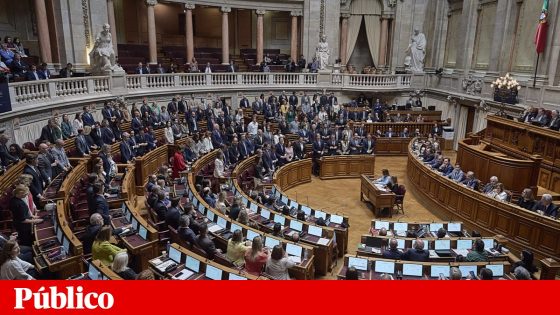 Parlamento aprova inclusão da nacionalidade no RASI, à revelia da esquerda | Segurança