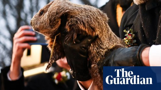 Groundhog Day: Punxsutawney Phil sees shadow, predicting longer winter | US news