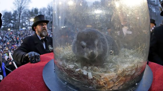 Punxsutawney Phil to emerge with his annual prediction about the end of winter