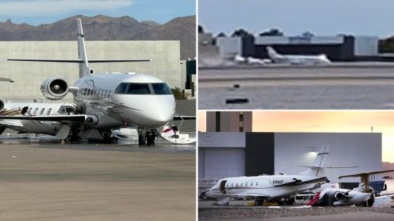 Cause of deadly plane crash involving Mötley Crüe singer Vince Neil's private jet revealed