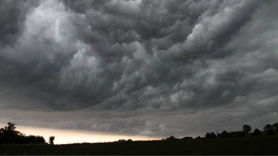 Chuva provoca mais de 110 ocorrências, maioria inundações, e corta estradas na zona de Lisboa