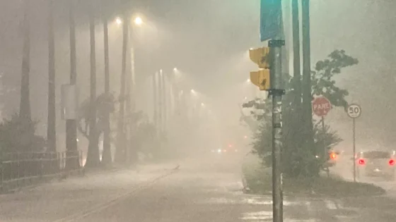 Temporal provoca alagamentos e queda de árvores em Porto Alegre