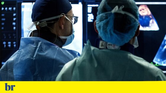 Apenas 17,6% dos médicos estrangeiros que trabalham em Portugal estão no SNS | Saúde