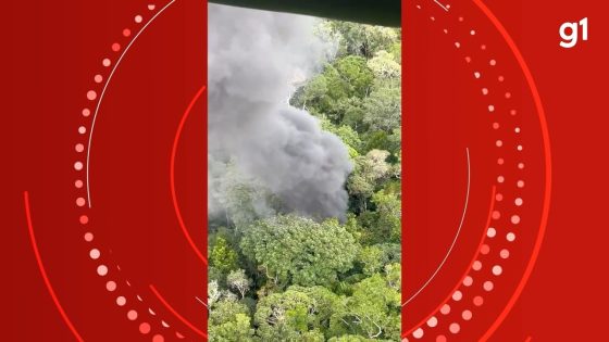 VÍDEO: Traficantes morrem após FAB abater aeronave com drogas no interior do AM | Amazonas