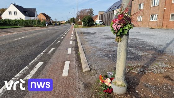 Steenweg Diepenbeek krijgt snelheidsverlaging en trajectcontrole na dodelijk fietsongeval