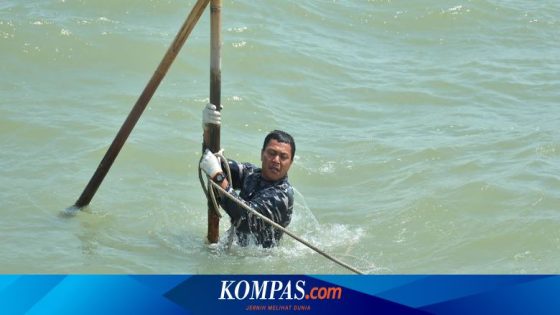 Penegakan Hukum Kasus Pagar Laut Perlu Berdasar Data dan Fakta