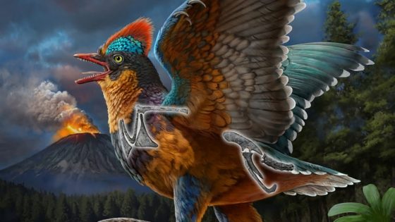 Chinese fossil of a Jurassic bird rewrites history of avian evolution