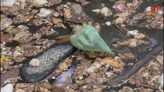 Imagens de drone mostram Rio Tietê cheio após fortes chuvas que causaram fechamento de complexo turístico em Salto | Sorocaba e Jundiaí