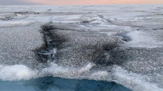 Unexpected Growth On Greenland’s Ice Could Have Major Impacts On Melting Rates