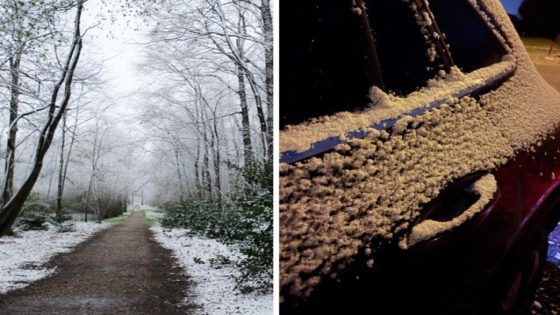 Dun laagje sneeuw in delen van het land en code geel voor gladheid, maar kwik stijgt stilaan naar 16 graden